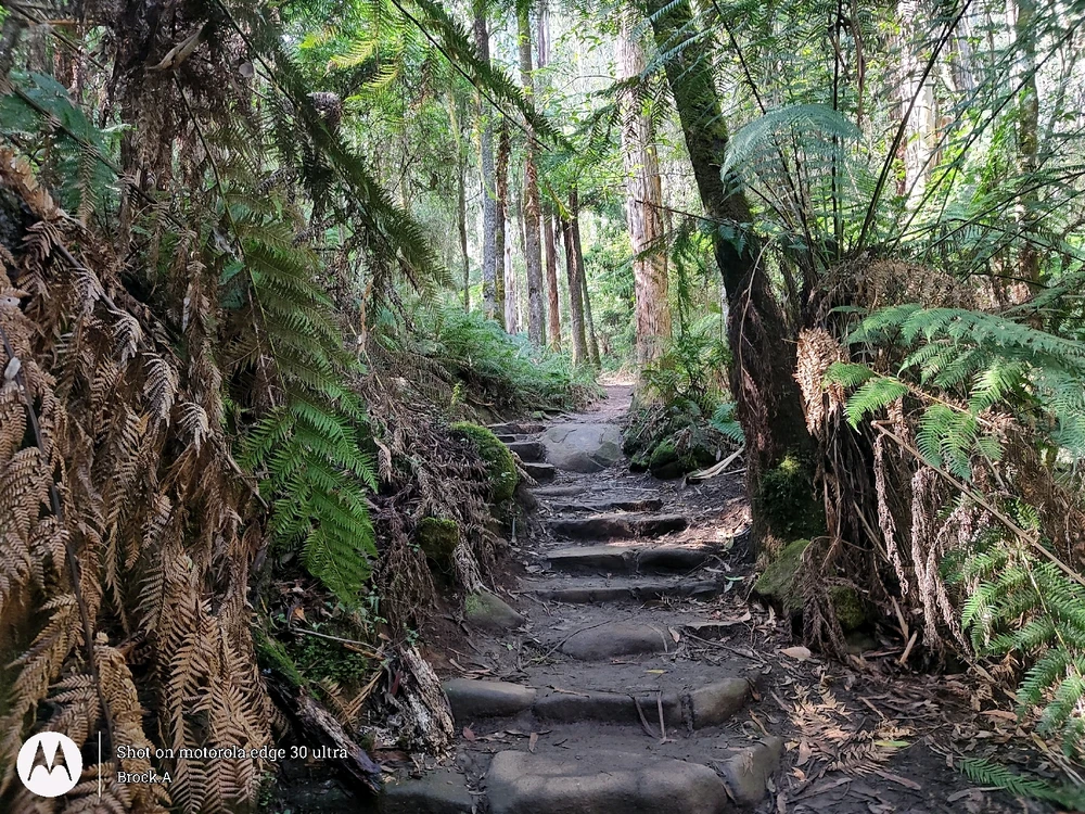 Image uploaded by Brock.A