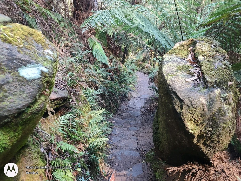 Image uploaded by Brock.A