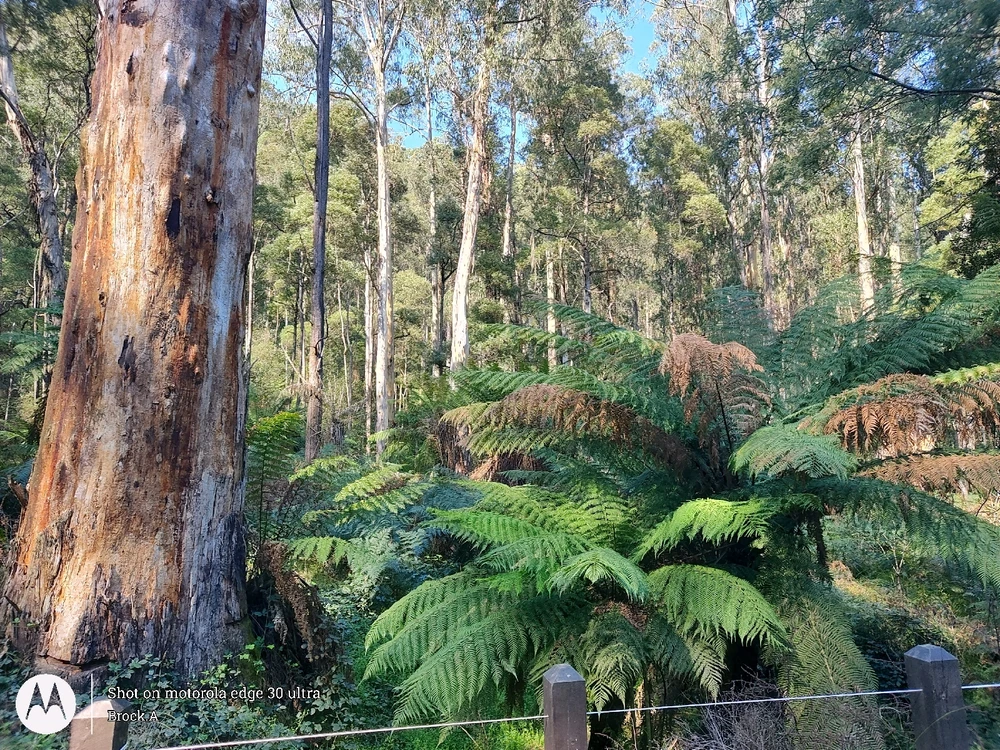 Image uploaded by Brock.A