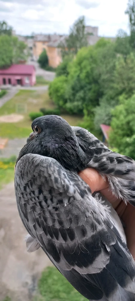 GIF uploaded by Maria (Masha)