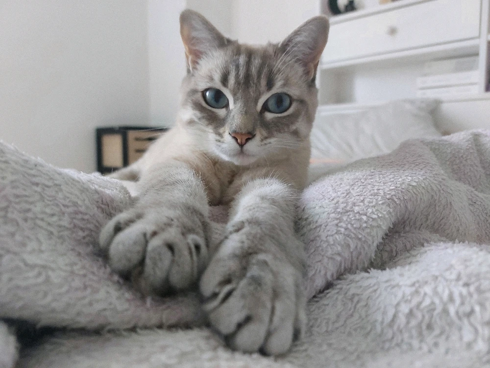 Image ajoutée par Caroline