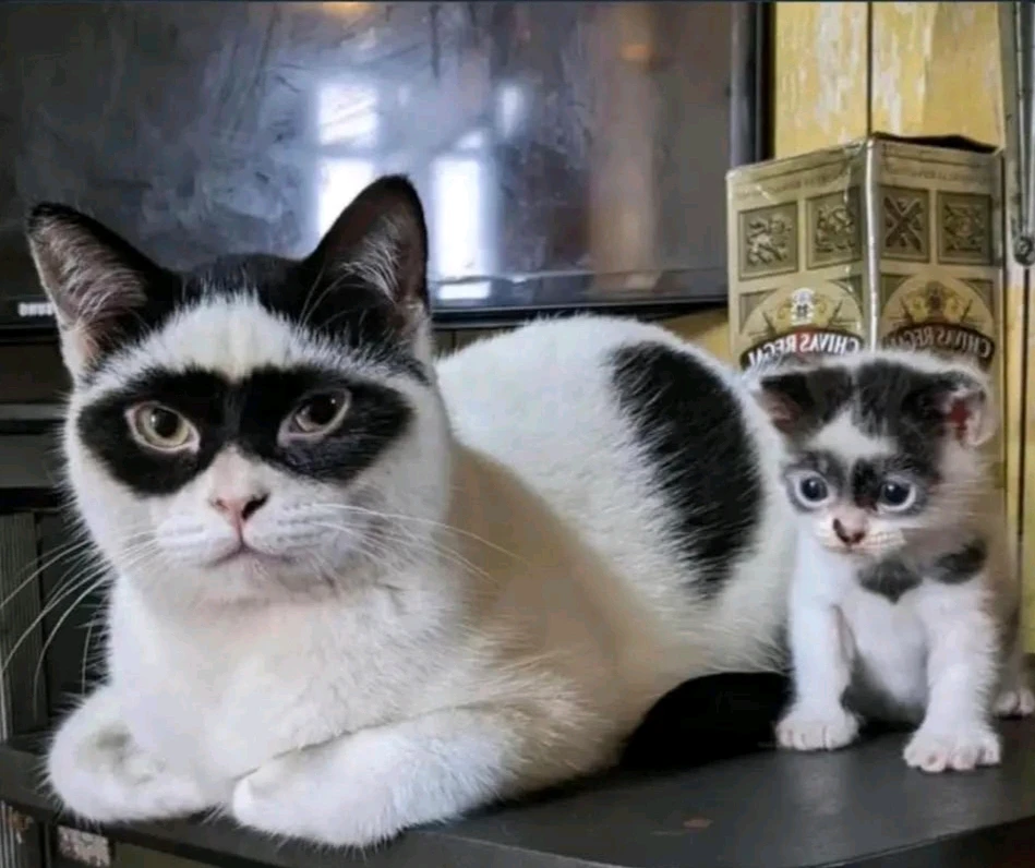 GIF uploaded by Aylin