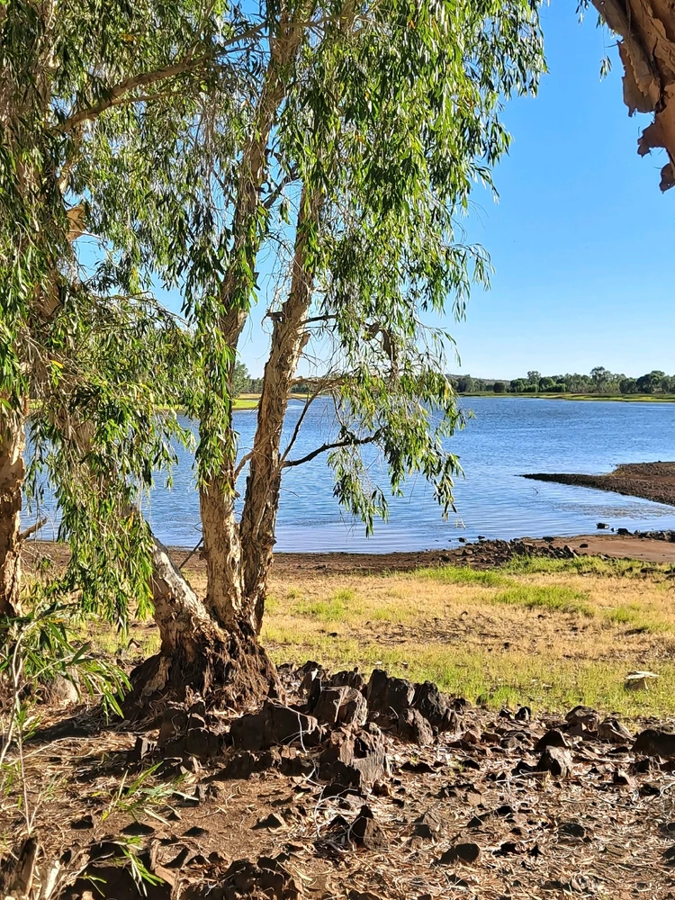 Image uploaded by Bee