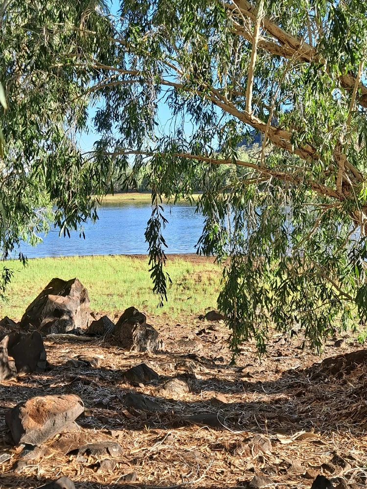 Image uploaded by Bee