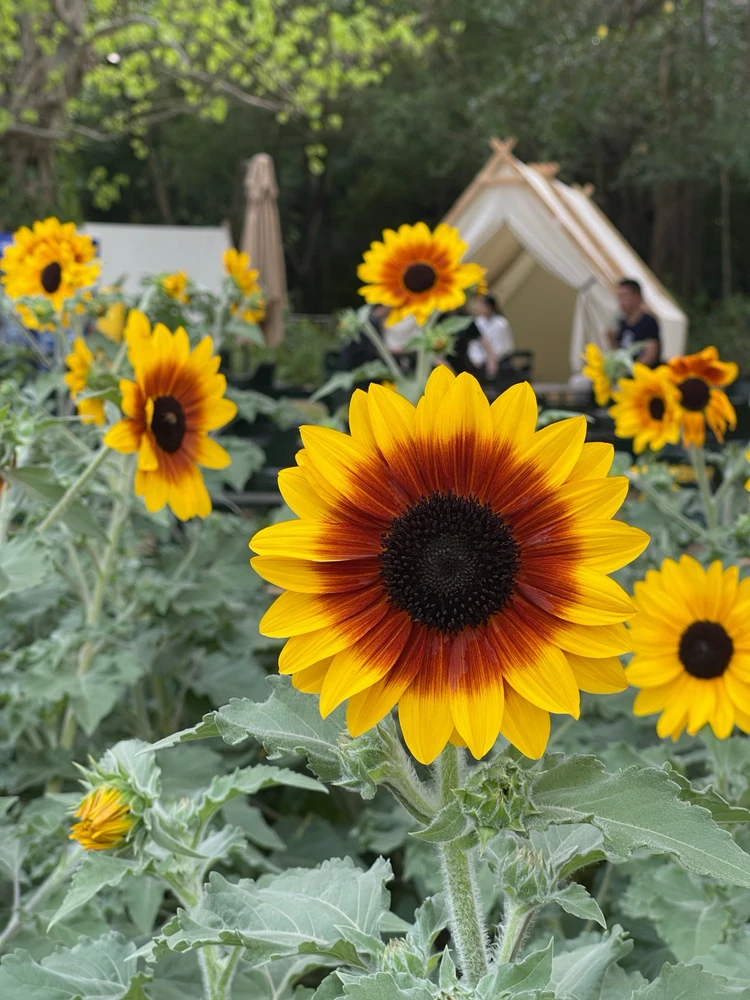 Image uploaded by Jerah 🌻