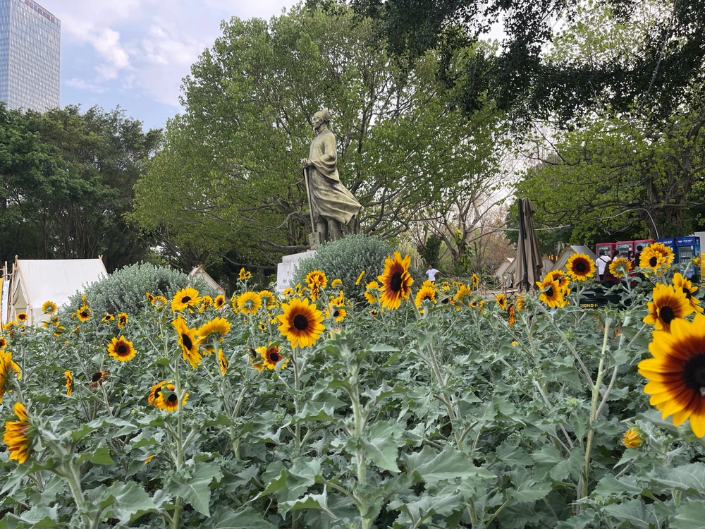 Image uploaded by Jerah 🌻