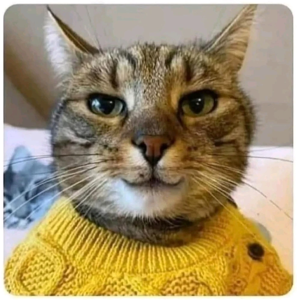 GIF hochgeladen von Doris