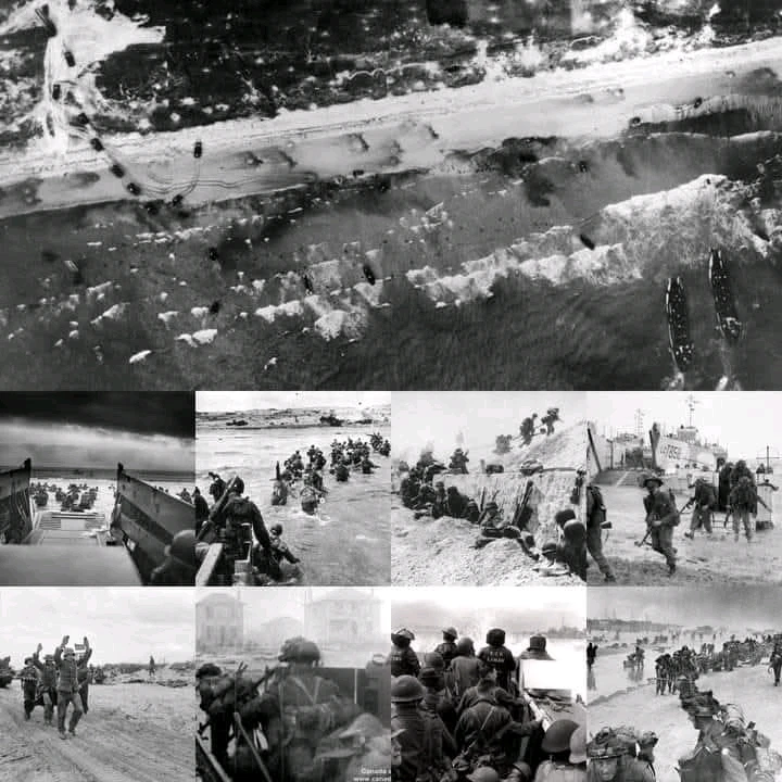 GIF uploaded by Erik Thackrey