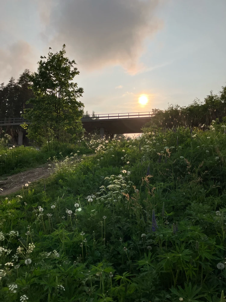 Image uploaded by Fakhereh