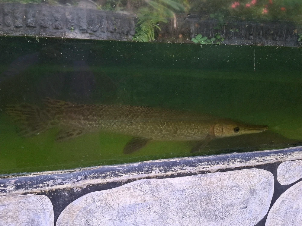 GIF diunggah dening Edo