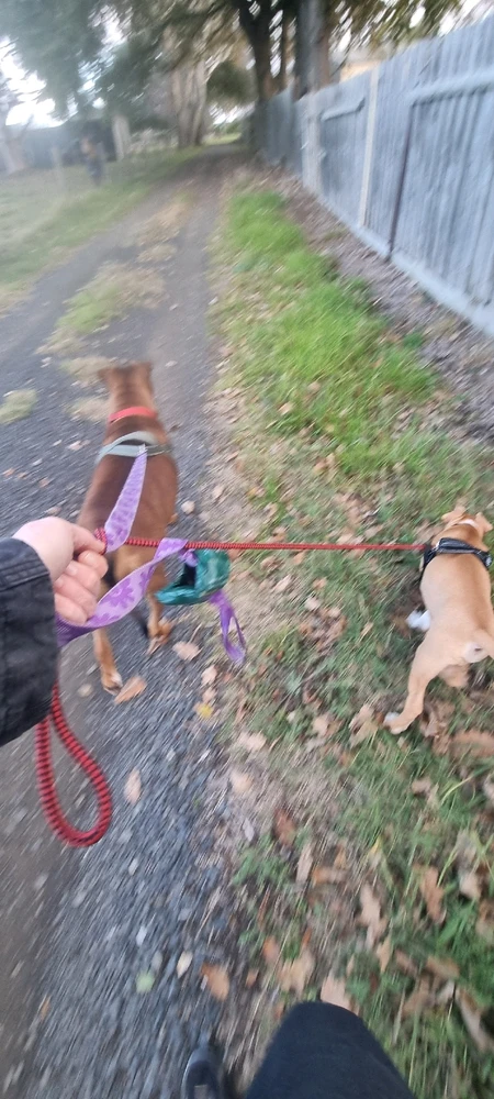 Adventures