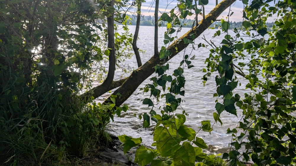 Image uploaded by Lauryn