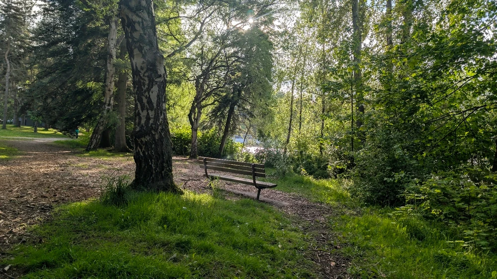 Image uploaded by Lauryn