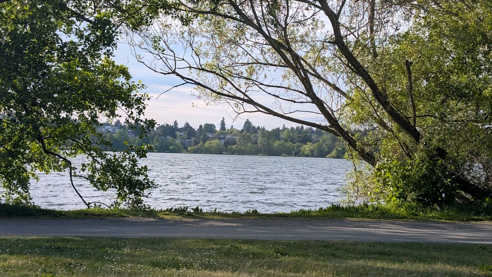 Image uploaded by Lauryn