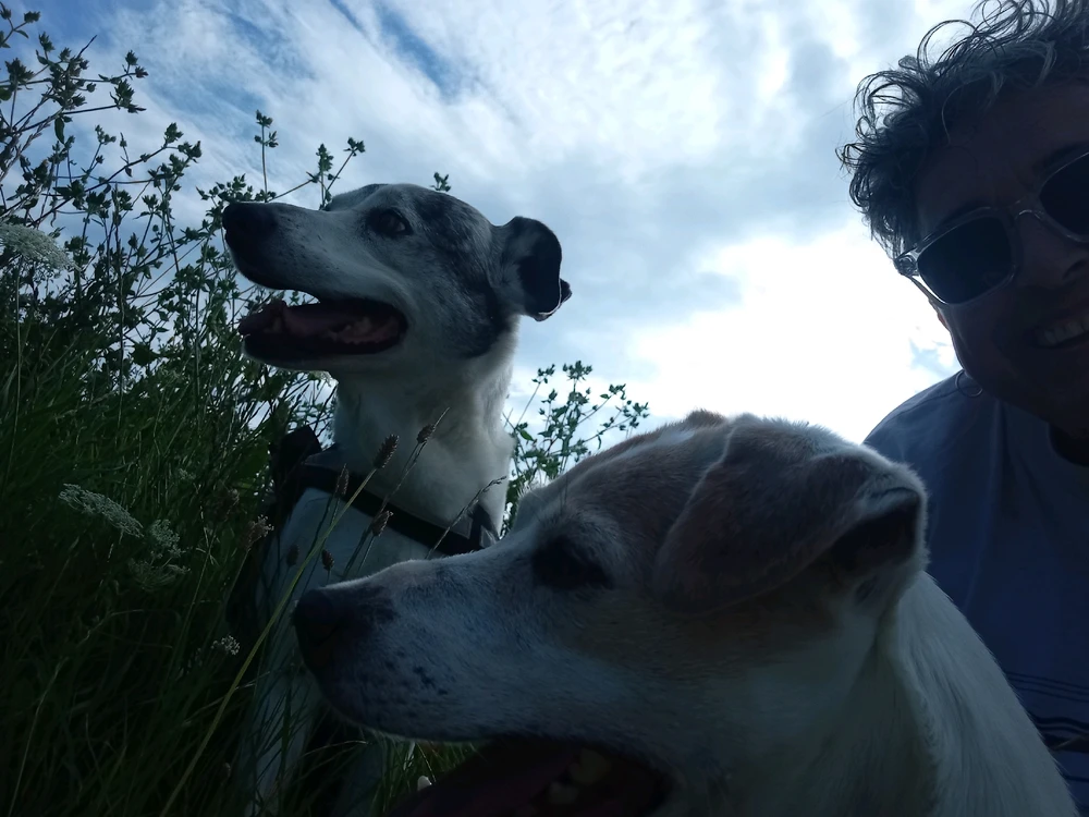 GIF caricata da Maria Luisa