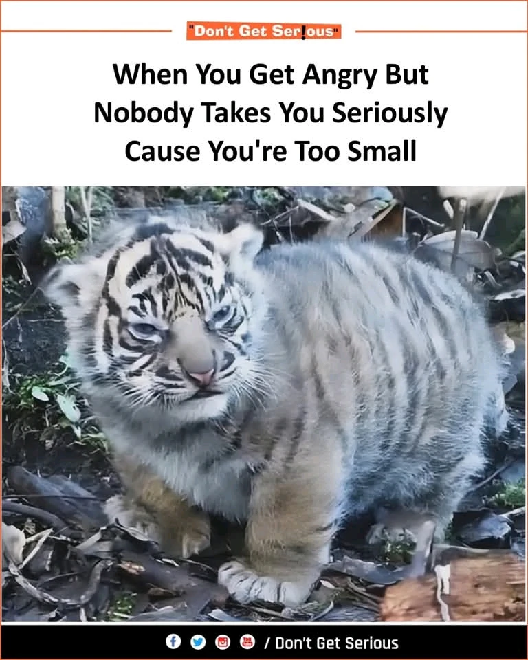 GIF-tiedoston lisäsi Sampsa