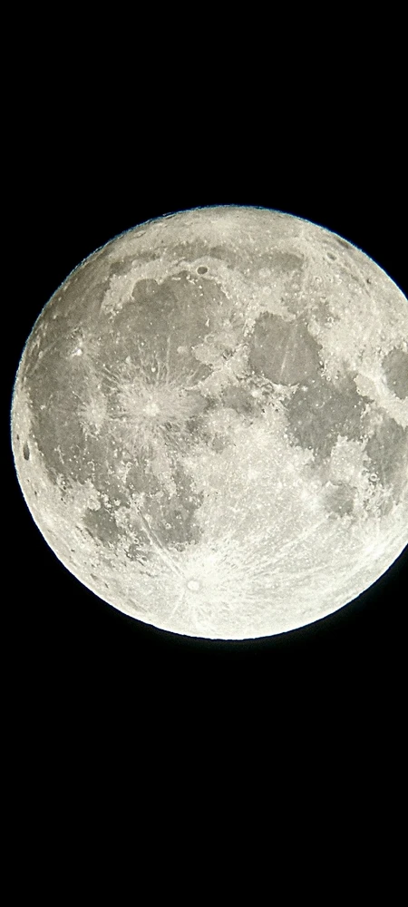 Image ajoutée par Will