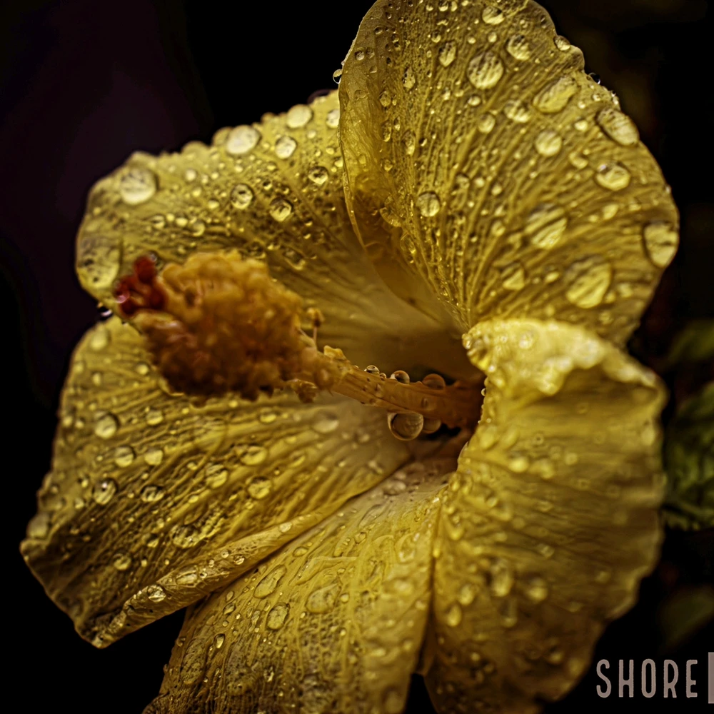 Image uploaded by Brian