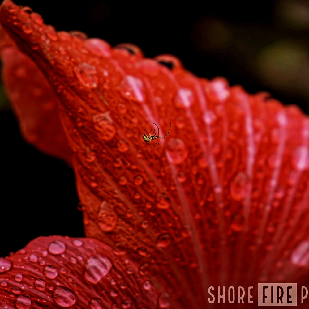 Image uploaded by Brian