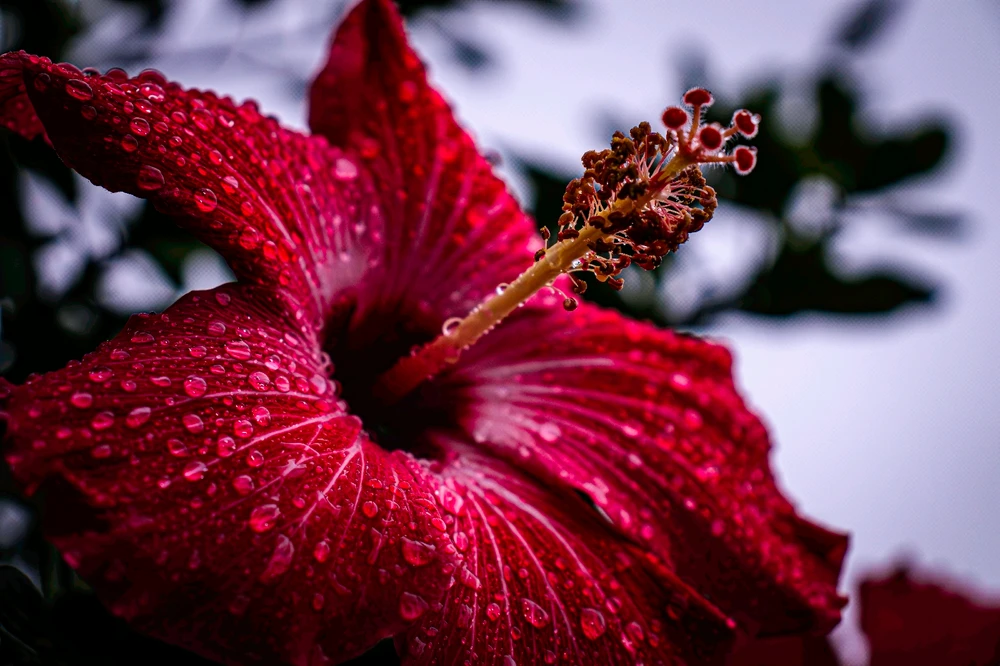 Image uploaded by Brian