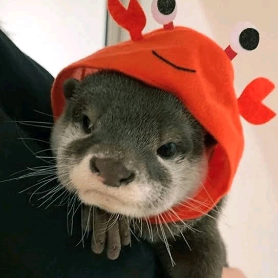 Gambar diunggah dening 𝓢𝓮𝓻𝓮𝓷 • 𝓢𝓮𝓻𝓮𝓷𝓭𝓲𝓹𝓲𝓽𝔂