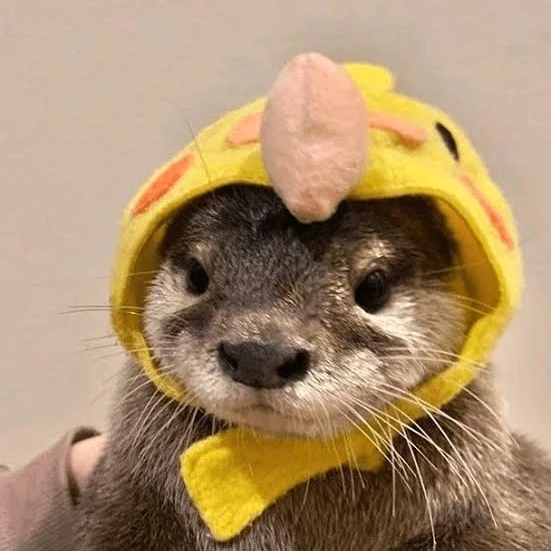 Gambar diunggah dening 𝓢𝓮𝓻𝓮𝓷 • 𝓢𝓮𝓻𝓮𝓷𝓭𝓲𝓹𝓲𝓽𝔂