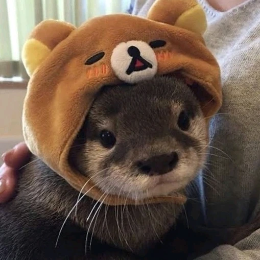 Gambar diunggah dening 𝓢𝓮𝓻𝓮𝓷 • 𝓢𝓮𝓻𝓮𝓷𝓭𝓲𝓹𝓲𝓽𝔂