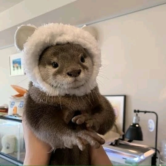 Gambar diunggah dening 𝓢𝓮𝓻𝓮𝓷 • 𝓢𝓮𝓻𝓮𝓷𝓭𝓲𝓹𝓲𝓽𝔂