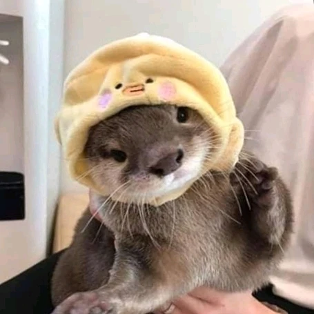 Gambar diunggah dening 𝓢𝓮𝓻𝓮𝓷 • 𝓢𝓮𝓻𝓮𝓷𝓭𝓲𝓹𝓲𝓽𝔂