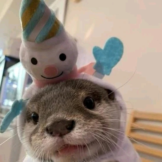 Gambar diunggah dening 𝓢𝓮𝓻𝓮𝓷 • 𝓢𝓮𝓻𝓮𝓷𝓭𝓲𝓹𝓲𝓽𝔂