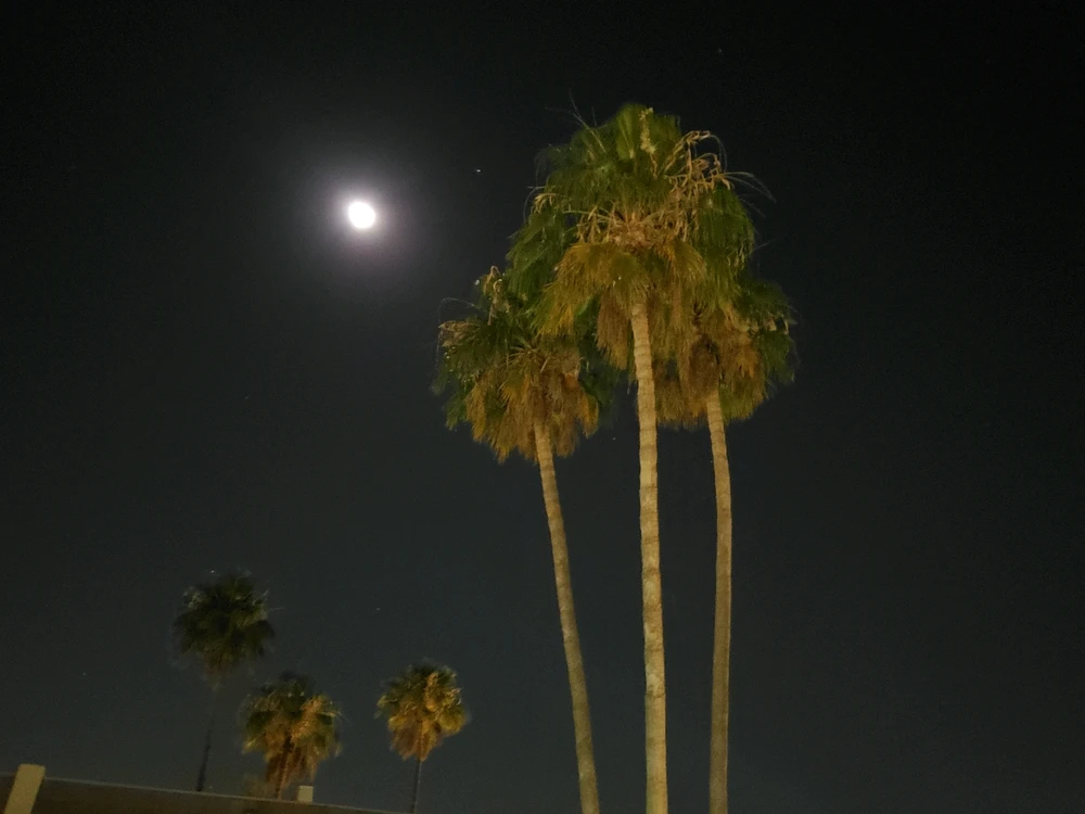 Image uploaded by Angelica