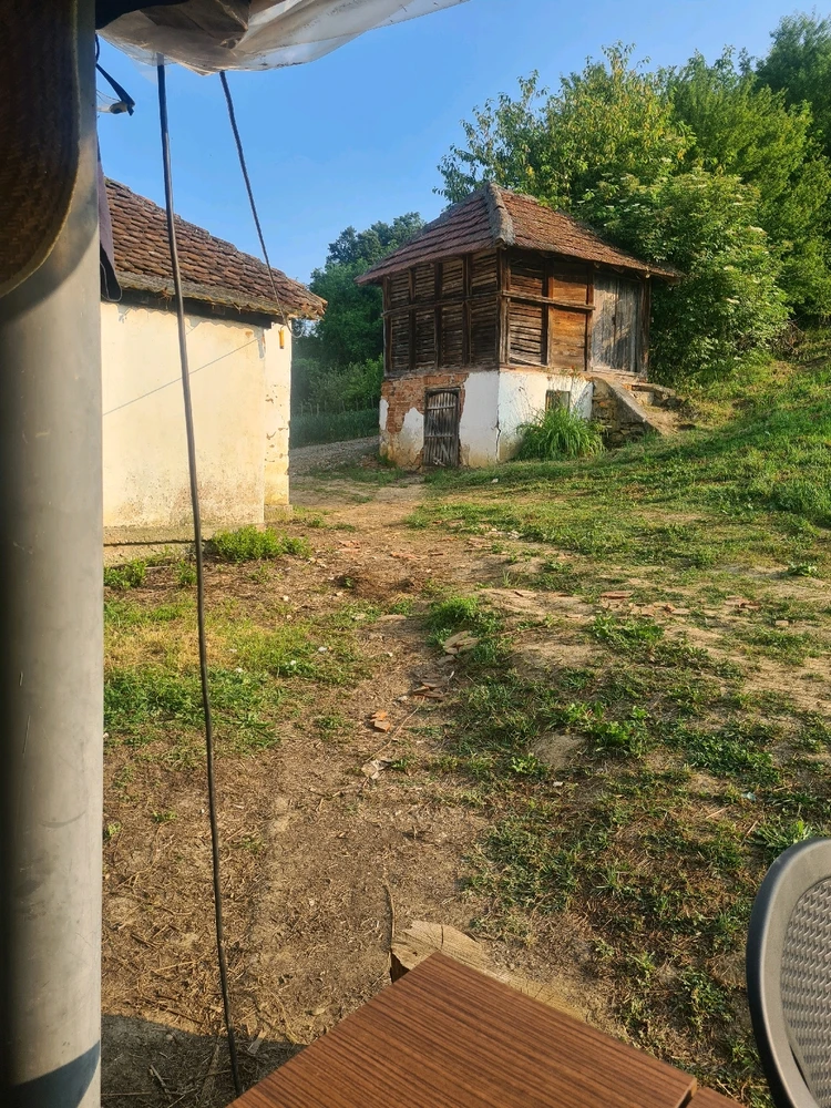 Sliku je postavio/la Zoran