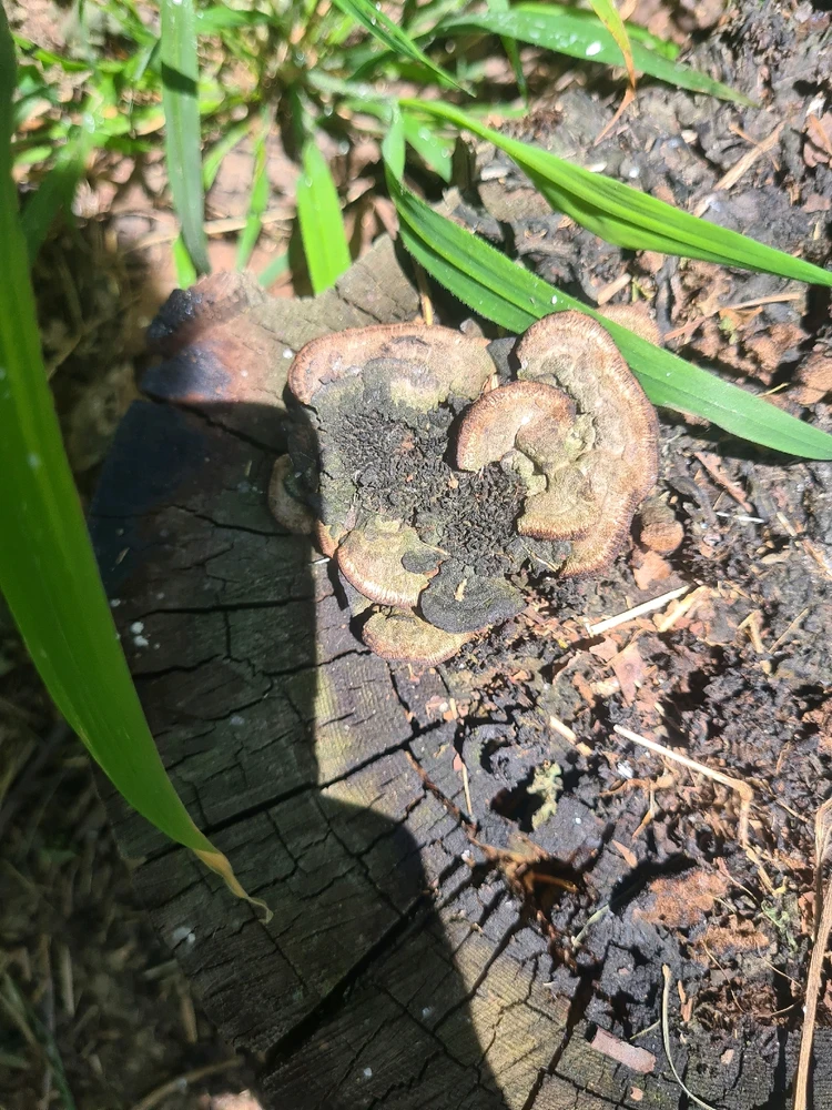 Sliku je postavio/la Zoran