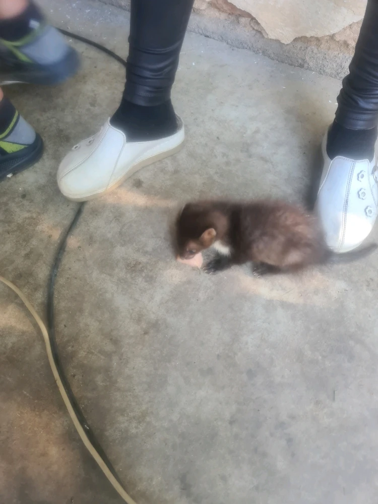 Sliku je postavio/la Zoran