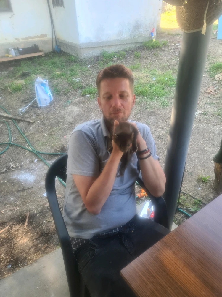 Sliku je postavio/la Zoran