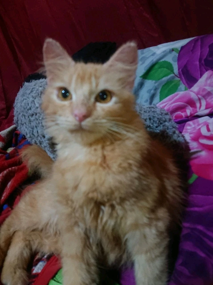 GIF uploaded by vivi