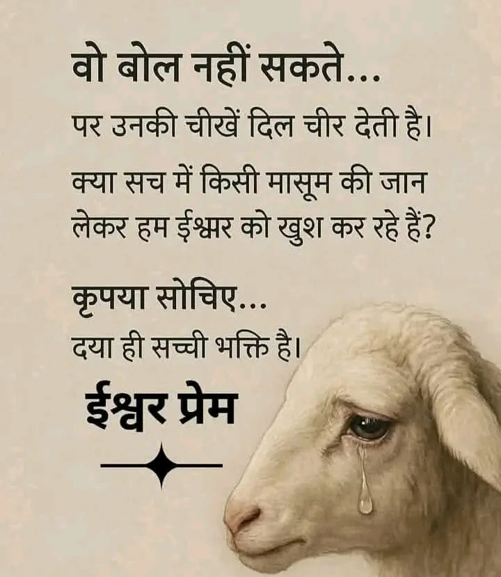 Image uploaded by Dolly