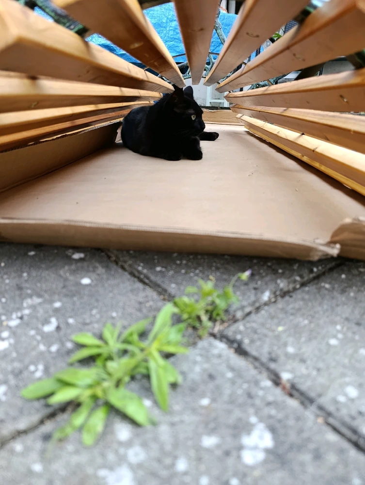 Obrázek nahrál ⭕⭕ Andrea