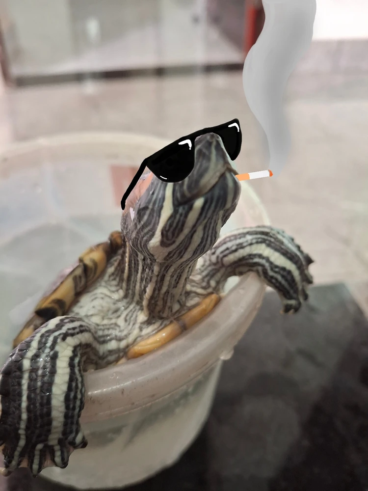 GIF uploaded by Shreyas