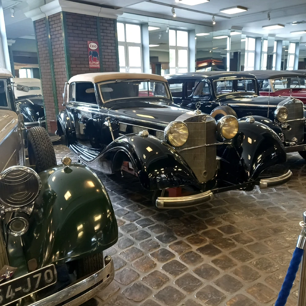 Посетил музей