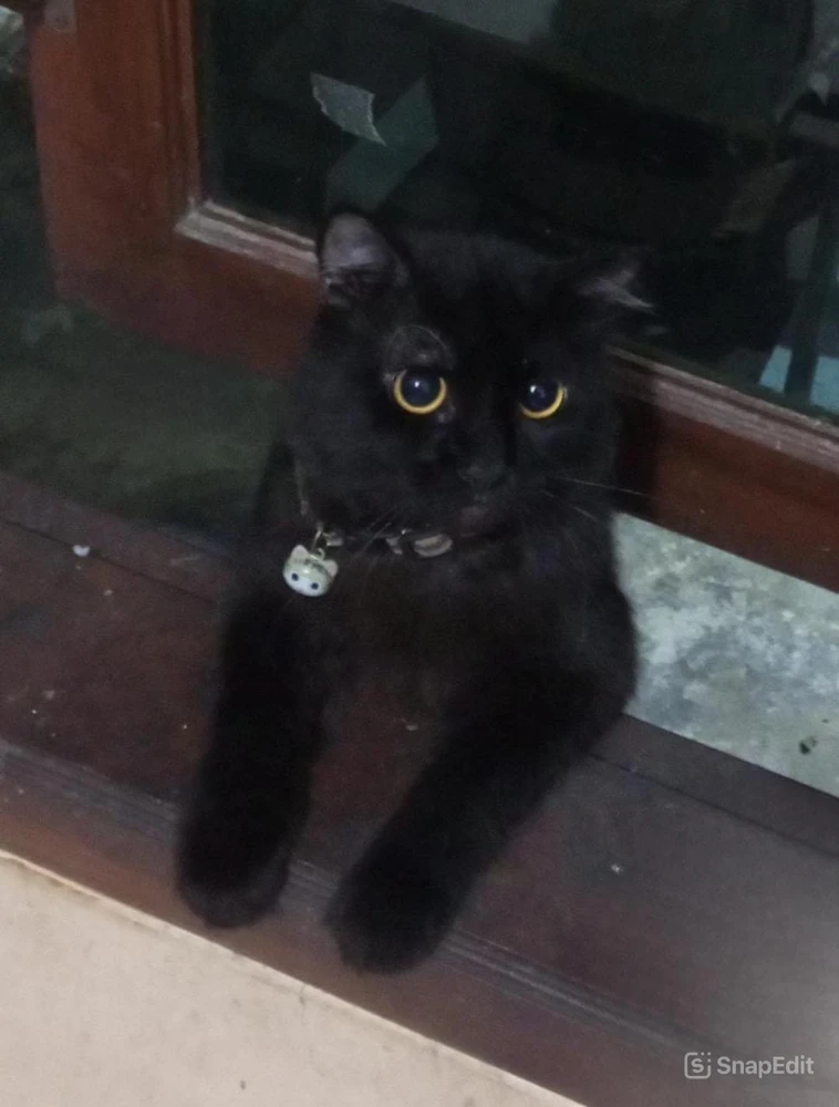 Libra tarafından yüklenen GIF