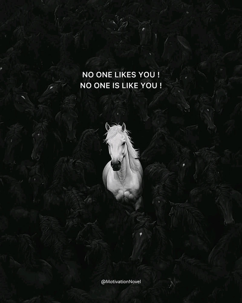 GIF uploaded by Bådböy