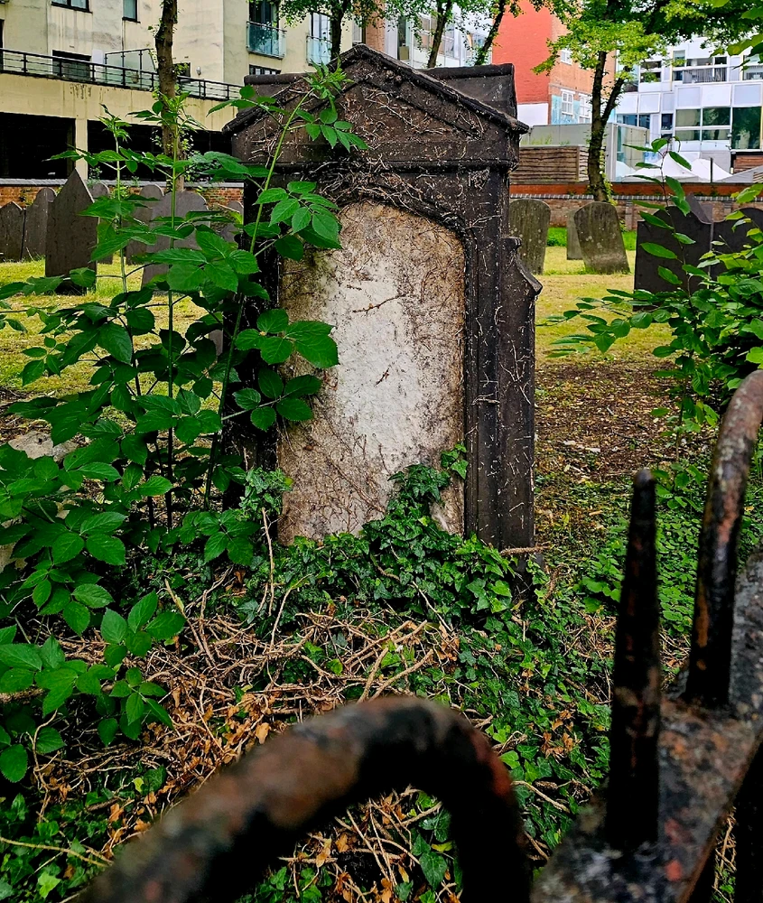 Image uploaded by Charlotte/Charlie