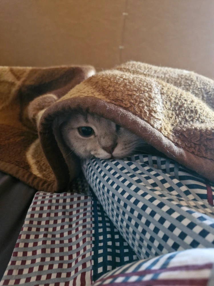 GIF hochgeladen von Max