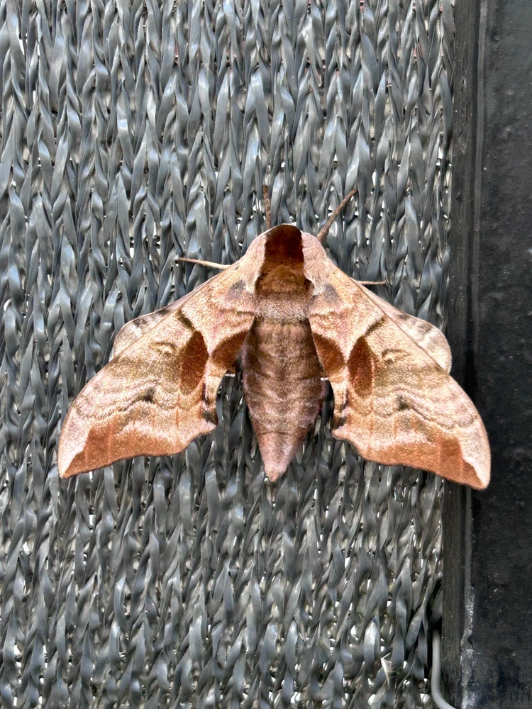 GIF ajouté par Mathieu