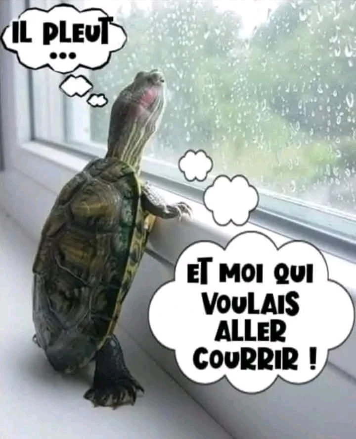 GIF ajouté par Ꭻລԁ𝙚