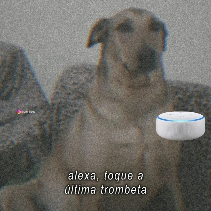 GIF enviado por Clara