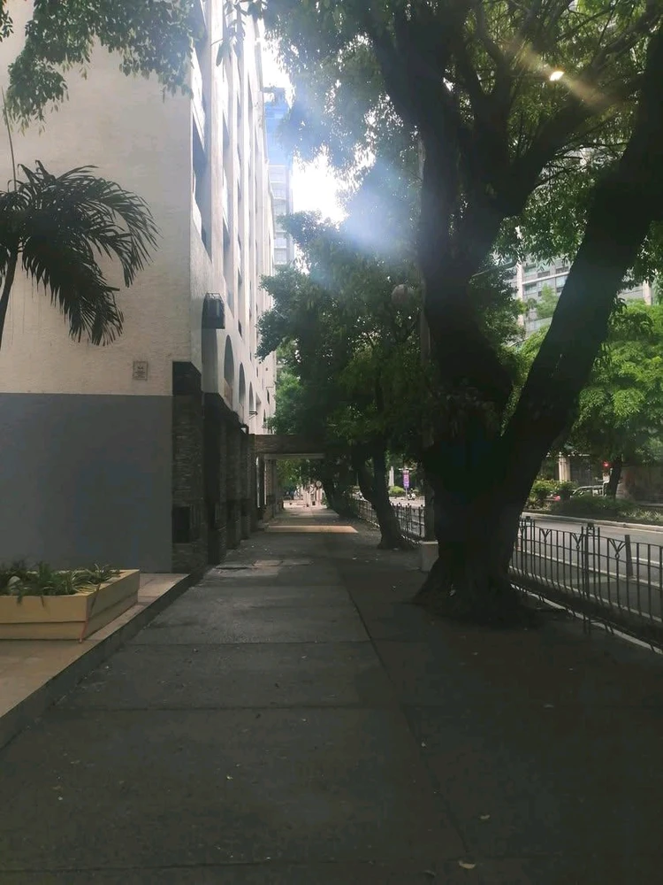 𝓐𝓵𝔂𝓼𝓼𝓪 上傳的 GIF