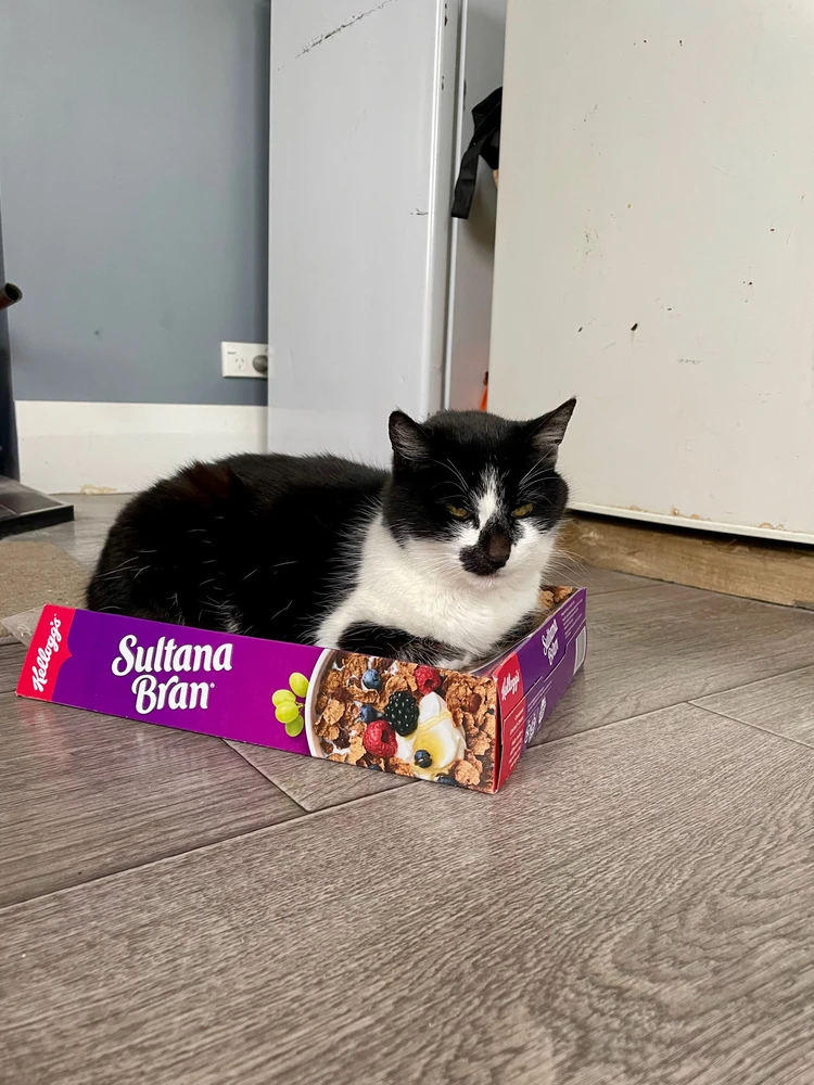 GIF diunggah dening Pammy