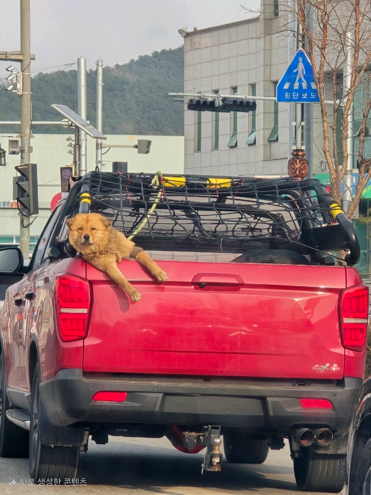 민석님이 올린 GIF